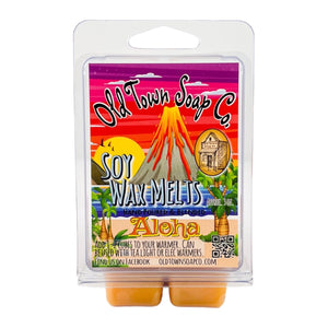Beach scent wax melts